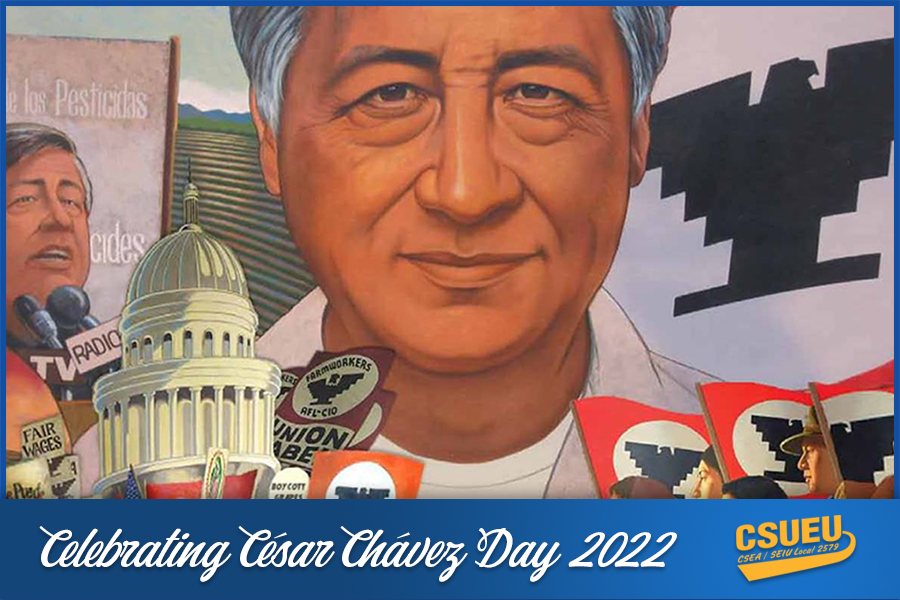 chavez-900x600 1 (1)1.jpg